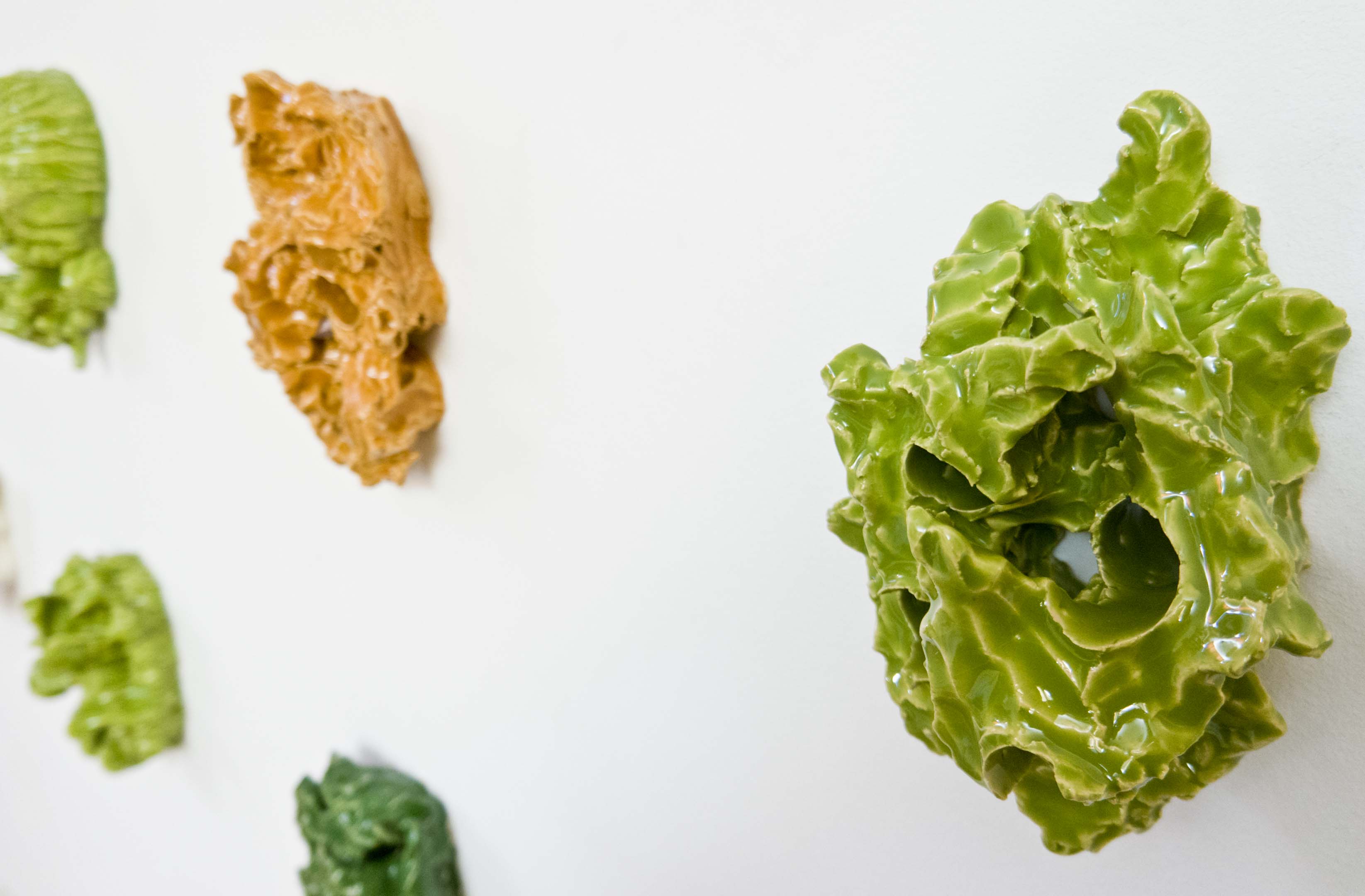 F P ROT GRÜN 1_0013_