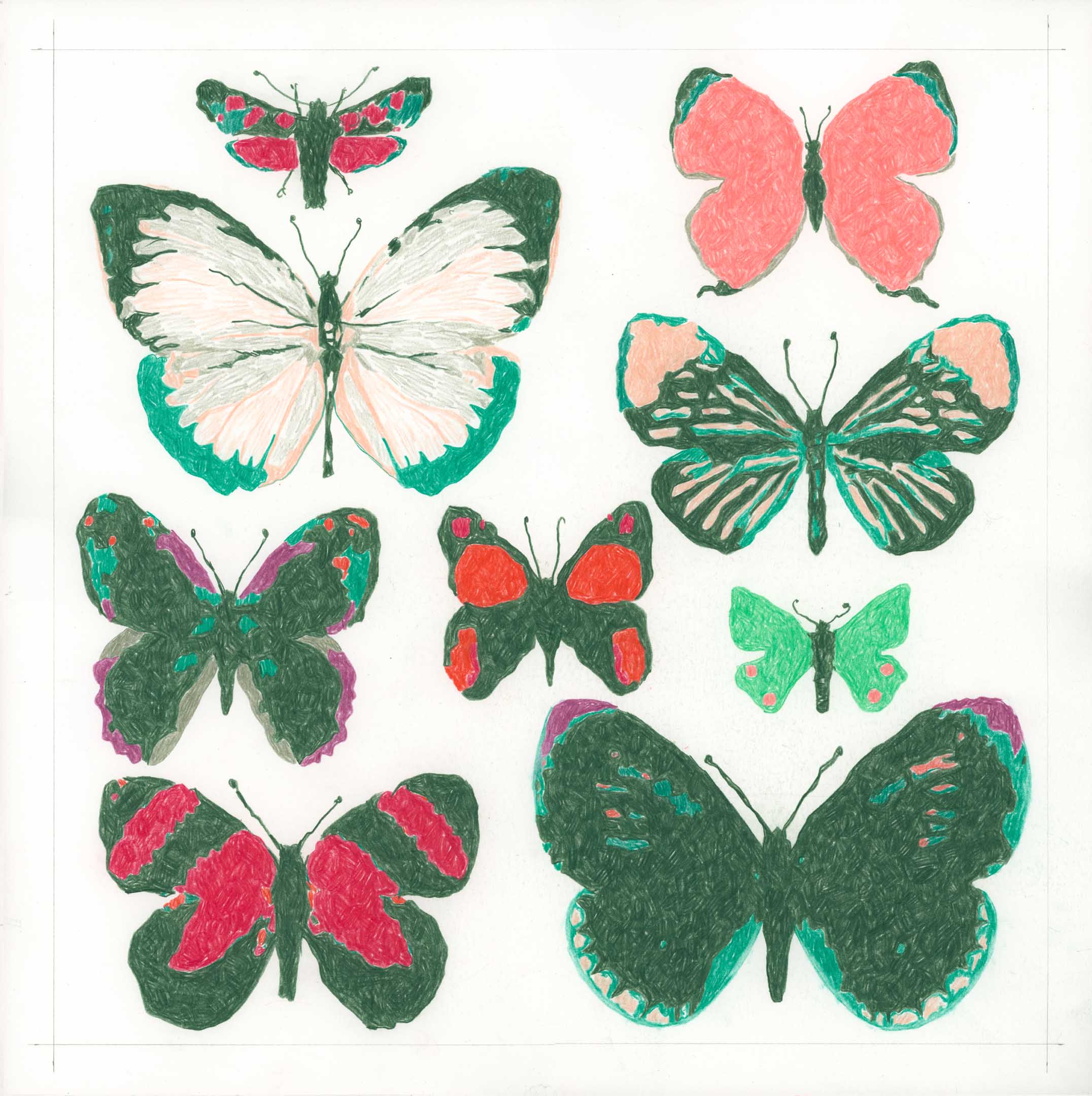 A 26 Nine Butterflies